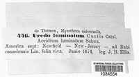 Image Associated With the Occurence